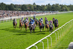 240824-Race 5-Elmonjed-1742