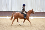 SBM_001034