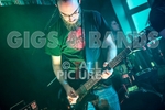 Brunt-19