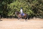 WJ6_7813