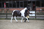 SBM_008027