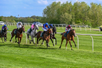 110526-Race 6-Betties Bay-1229