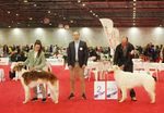 females Open class 2