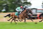 070826-Race 5-Master Vintner-1950
