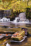 Fish Ladder