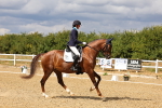 SBM_006482