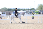 SBM_17620
