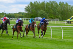 210526-Race 3-Evocative Spark-4292