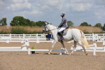 SBM_03947