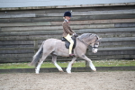 SBM_005911