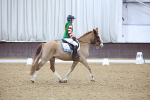 SBM_001231