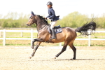 SBM_003701