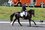 SIAL0598