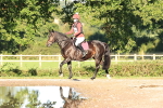 SBM_15470