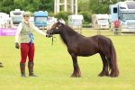 SBM_06313