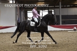 BPP_9392