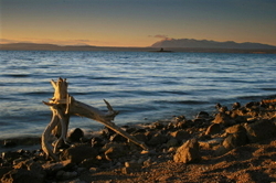 In the West portfolio