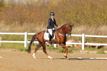 SBM_000477