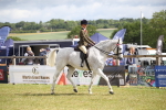 SBM_13191