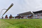 140726-Race 5-Crafty Spirit-2995