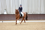 Class 6 CT Novice 3 portfolio