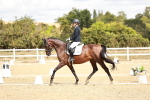 SBM_009911