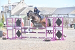 BPP_6533