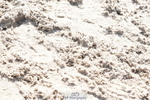 250420A-101846-00312