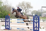 Cls 35 Young Horse 7yr old portfolio