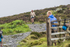 Skiddaw-444