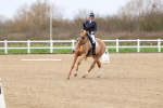 SBM_002462