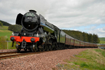 Flying Scotsman