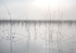 Issac Lake #2-September