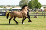 SBM_02281