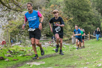 Dovedale Dash-959