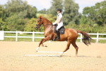 SBM_002797