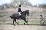 SBM_004704