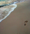 Footprint Turks & Caicos