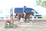SBM_09091