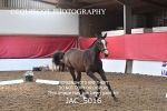 JAC_5016