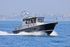 180506 PISCES - TARGA 27 1Y3A8337_Edit