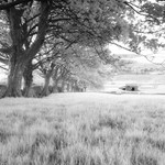 Yorkshire Dales