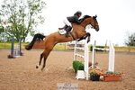 Cls 29 Foxhunter portfolio