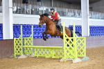 Class 1 - Clear Round portfolio