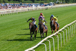 110726-Race 6-Mount Atlas-0425