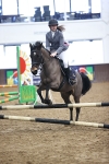SBM_000937