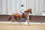 SBM_009259
