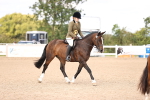 SBM_09082