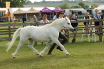 SBM_00508