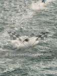 Worlds Powerboats_2014_Race-1-107